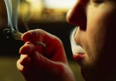 El Cannabis y los Adolescentes